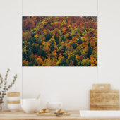 Verbluffend herfstbos poster (Keuken)