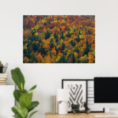 Verbluffend herfstbos poster (Thuiskantoor)