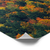 Verbluffend herfstbos poster (Hoek)