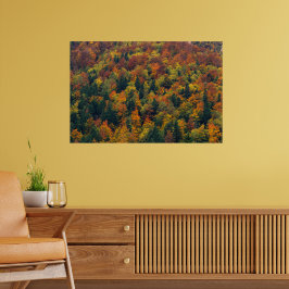 Verbluffend herfstbos poster