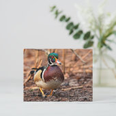 Verbluffend hout in de Bossen Briefkaart (Staand voorkant)