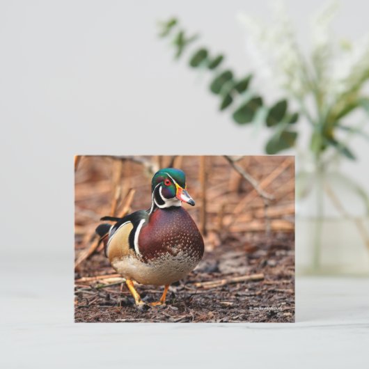 Verbluffend hout in de Bossen Briefkaart (Staand voorkant)