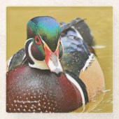 Verbluffend hout in de Pond Glazen Onderzetter (Voorkant)