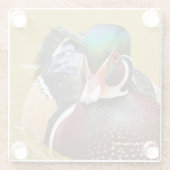 Verbluffend hout in de Pond Glazen Onderzetter (Achterkant)