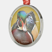 Verbluffend hout in de Pond Metalen Ornament (Links)