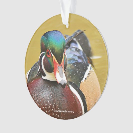 Verbluffend hout in de Pond Ornament (voorkant)