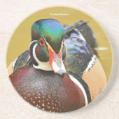 Verbluffend hout in de Pond Zandsteen Onderzetter (Voorkant)