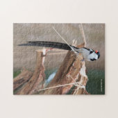 Verbluffend in de wandelgangen van Whydah Songbird Legpuzzel (Horizontaal)