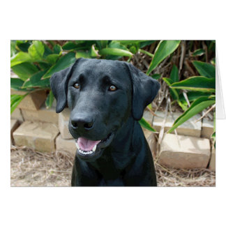 Verbluffend lab met geweldig bericht!