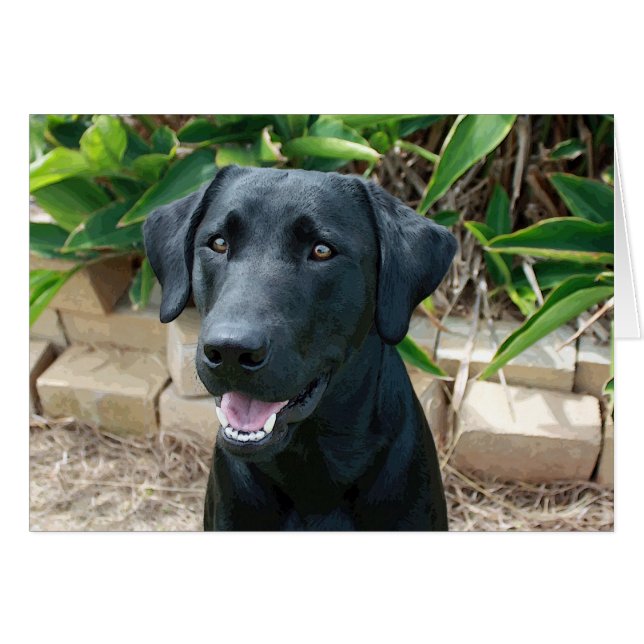 Verbluffend lab met geweldig bericht! (Voorkant Horizontaal)