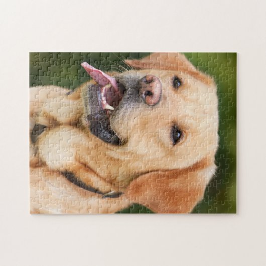 Verbluffend labrador legpuzzel (Horizontaal)
