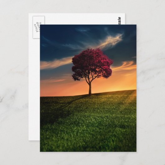 Verbluffend landschap met een rode boom op zonsond briefkaart (Voorkant / Achterkant)