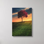 Verbluffend landschap met een rode boom op zonsond canvas afdruk (Voorkant)