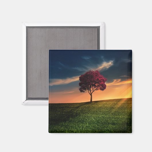 Verbluffend landschap met een rode boom op zonsond magneet (Voorkant / Achterkant)