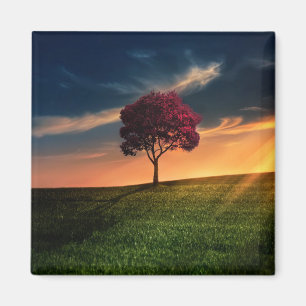 Verbluffend landschap met een rode boom op zonsond magneet