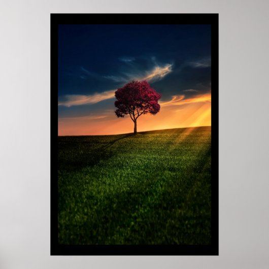 Verbluffend landschap met een rode boom op zonsond poster (Voorkant)