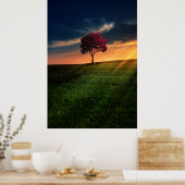 Verbluffend landschap met een rode boom op zonsond poster (Keuken)