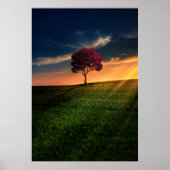 Verbluffend landschap met een rode boom op zonsond poster (Voorkant)