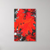 Verbluffend leder van rode mantel canvas afdruk (Voorkant)