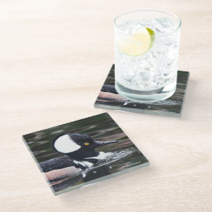 Verbluffend Merganser Duck in Pond Glazen Onderzetter