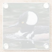 Verbluffend Merganser Duck in Pond Glazen Onderzetter (Achterkant)