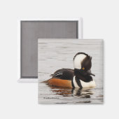 Verbluffend Merganser Duck op de Pond Magneet (Voorkant / Achterkant)