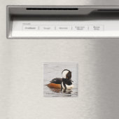 Verbluffend Merganser Duck op de Pond Magneet (Insitu (Vaatwasser))