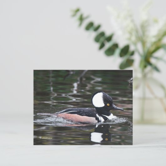 Verbluffend Merganser Duck zwemt door Briefkaart (Staand voorkant)