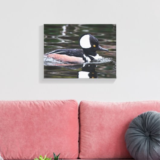 Verbluffend Merganser Duck zwemt door Canvas Afdruk (Insitu (Woonkamer))
