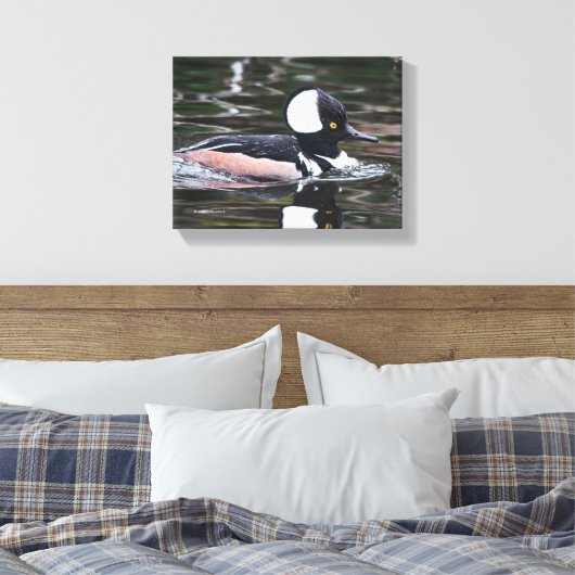 Verbluffend Merganser Duck zwemt door Canvas Afdruk (Insitu (Slaapkamer))