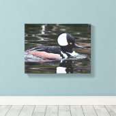 Verbluffend Merganser Duck zwemt door Canvas Afdruk (Insitu (Houten vloer))