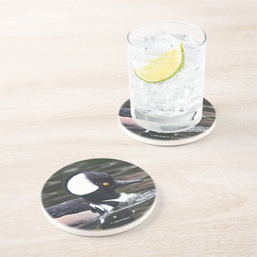 Verbluffend Merganser Duck zwemt door Zandsteen Onderzetter (Zijkant)