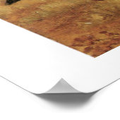 Verbluffend mooie Victoriaans Art Mermaid Print (Hoek)