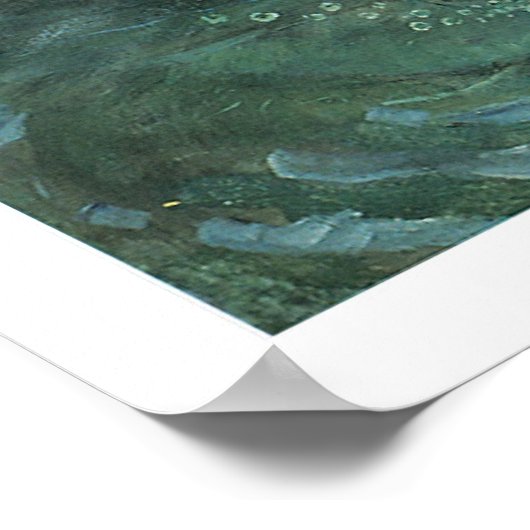 Verbluffend mooie Victoriaans Art Mermaid Print (Hoek)