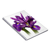 Verbluffend Nederlands Iris Paars Sensentijager Notitieboek (Rechterzijde)
