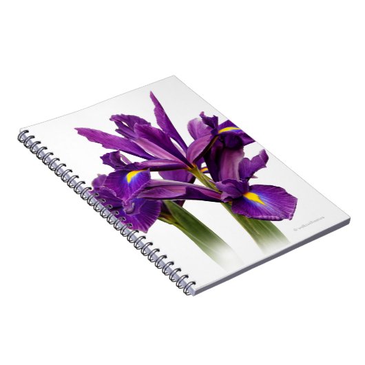 Verbluffend Nederlands Iris Paars Sensentijager Notitieboek (Rechterzijde)