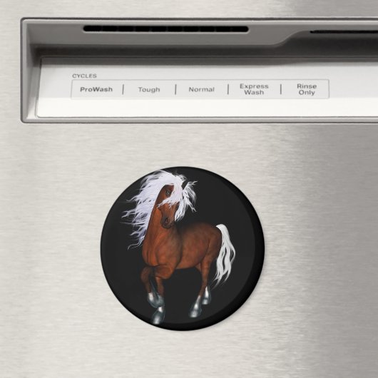 Verbluffend paard magneet (Insitu (Vaatwasser))