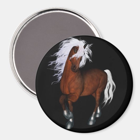 Verbluffend paard magneet (Voorkant / Achterkant)