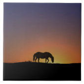 Verbluffend paardenkunst Tegel Tegeltje (Voorkant)