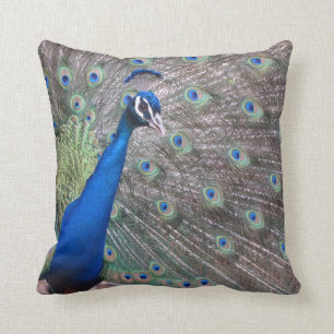 Verbluffend  Peacock Kussen