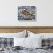 Verbluffend pectoraal Sandpiper Shorebird op stran Canvas Afdruk (Insitu (Slaapkamer))