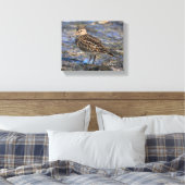 Verbluffend pectoraal Sandpiper Shorebird op stran Canvas Afdruk (Insitu (Slaapkamer))
