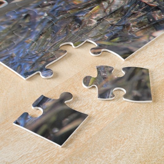 Verbluffend pectoraal Sandpiper Shorebird op stran Legpuzzel (Zijkant)