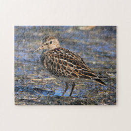 Verbluffend pectoraal Sandpiper Shorebird op stran Legpuzzel