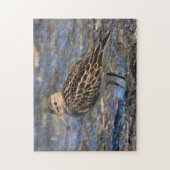 Verbluffend pectoraal Sandpiper Shorebird op stran Legpuzzel (Verticaal)