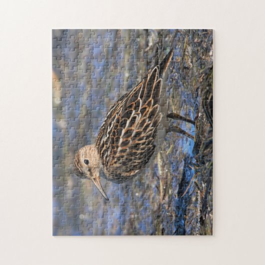 Verbluffend pectoraal Sandpiper Shorebird op stran Legpuzzel (Verticaal)