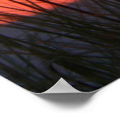 Verbluffend Poster (Hoek)