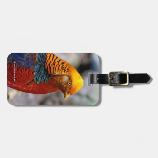 Verbluffend profiel van een roodbruin bagagelabel (Voorkant horizontaal)