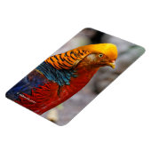 Verbluffend profiel van een roodbruin magneet (Linkerzijde)