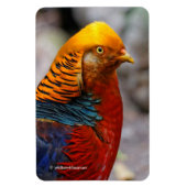 Verbluffend profiel van een roodbruin magneet (Verticaal)